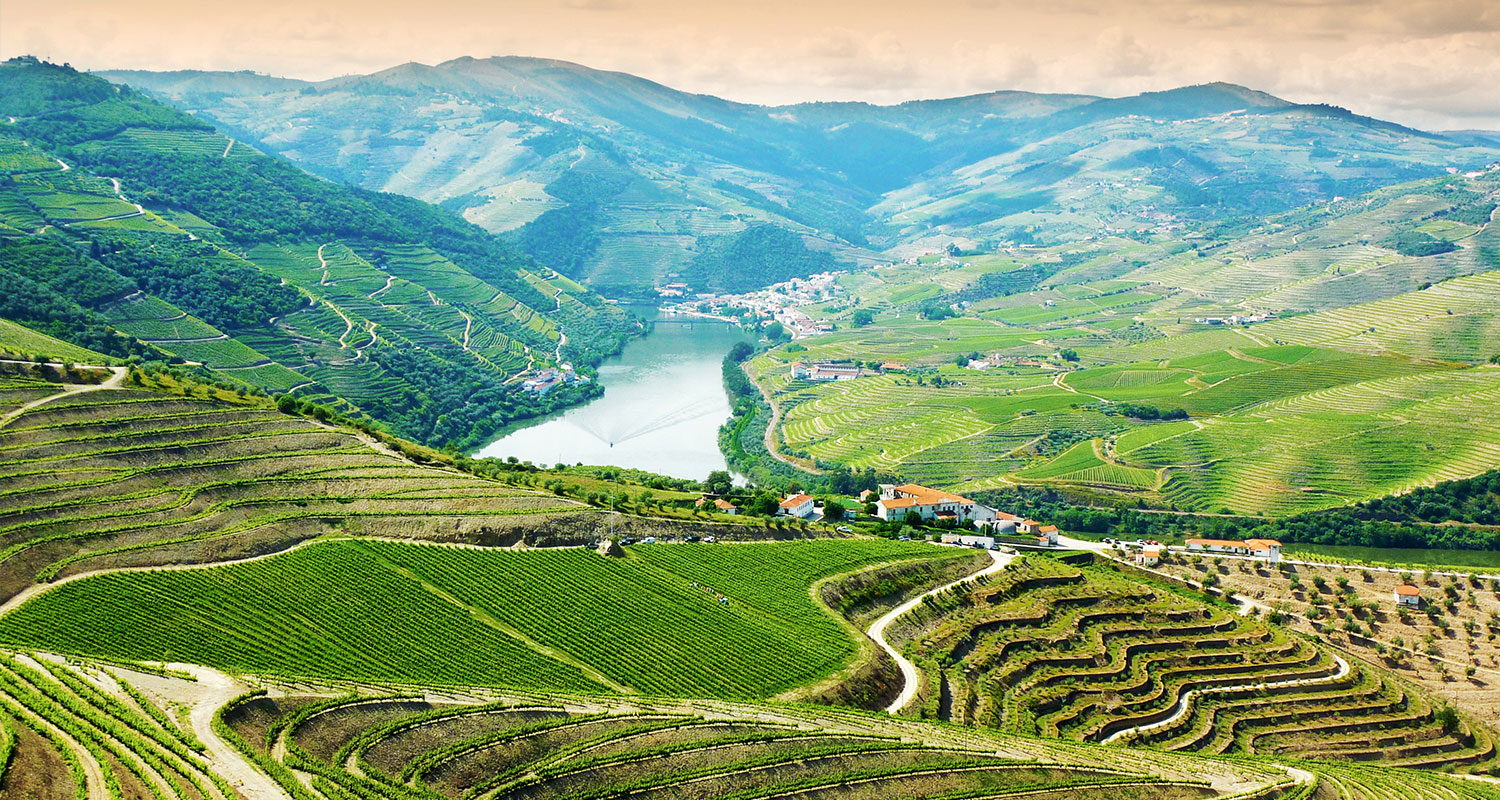 Douro Tal