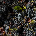 Was bedeutet eigentlich Doppio Passo?