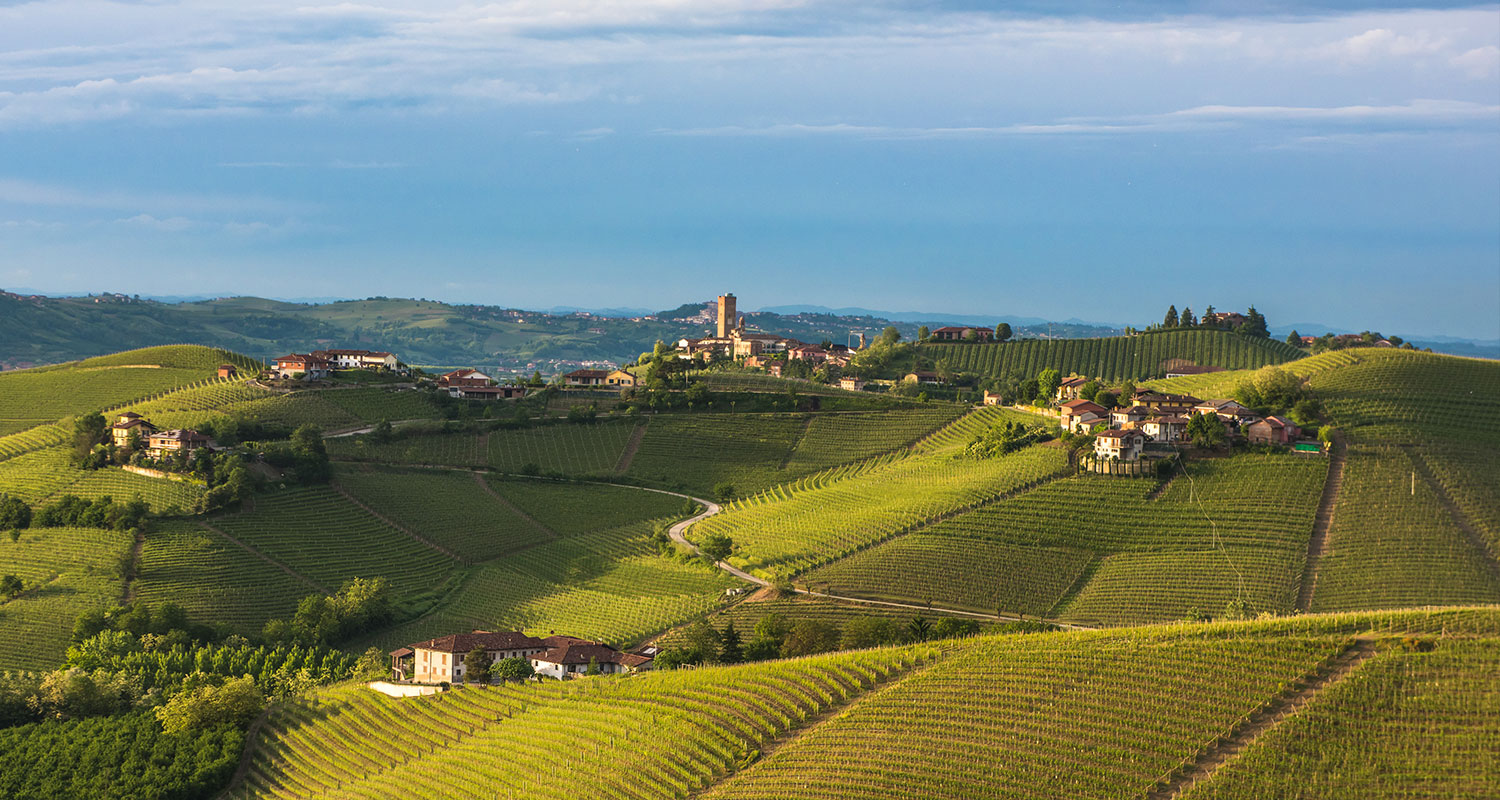 Barolo