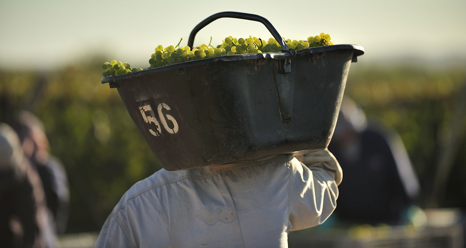 Weinland Argentinien
