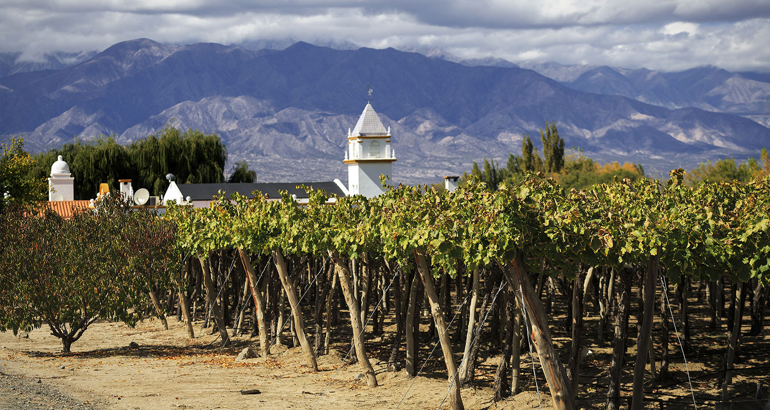 Weinland Argentinien