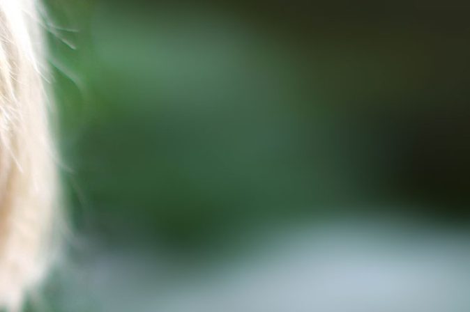 Weinkritikerin Jancis Robinson