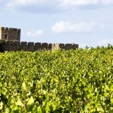 Weinland Portugal