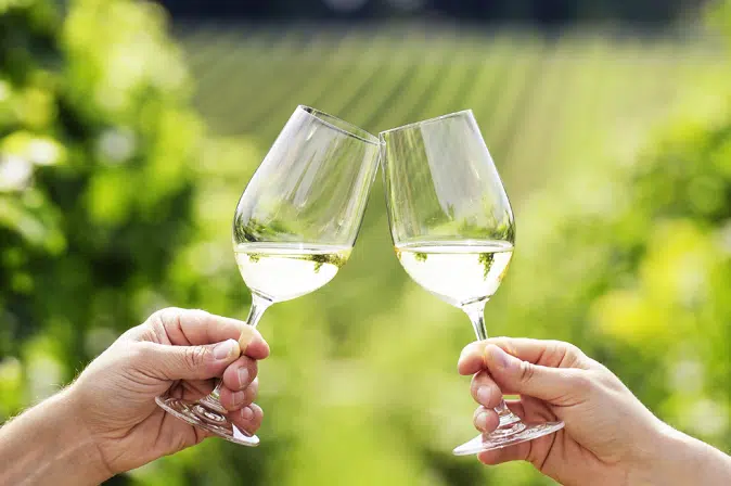 Zwei Weingläser mit denen angestoßen wird