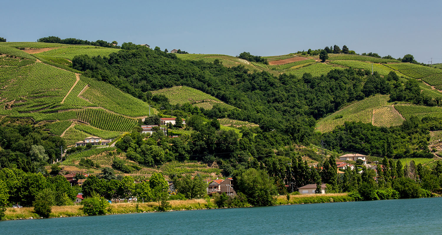 Rhône Saint-Péray