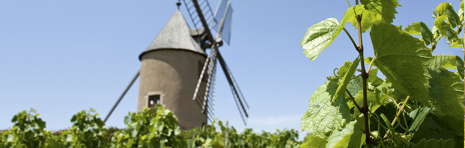 Beaujolais Moulin a Vent