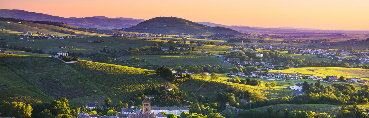 Beaujolais Saint Amour