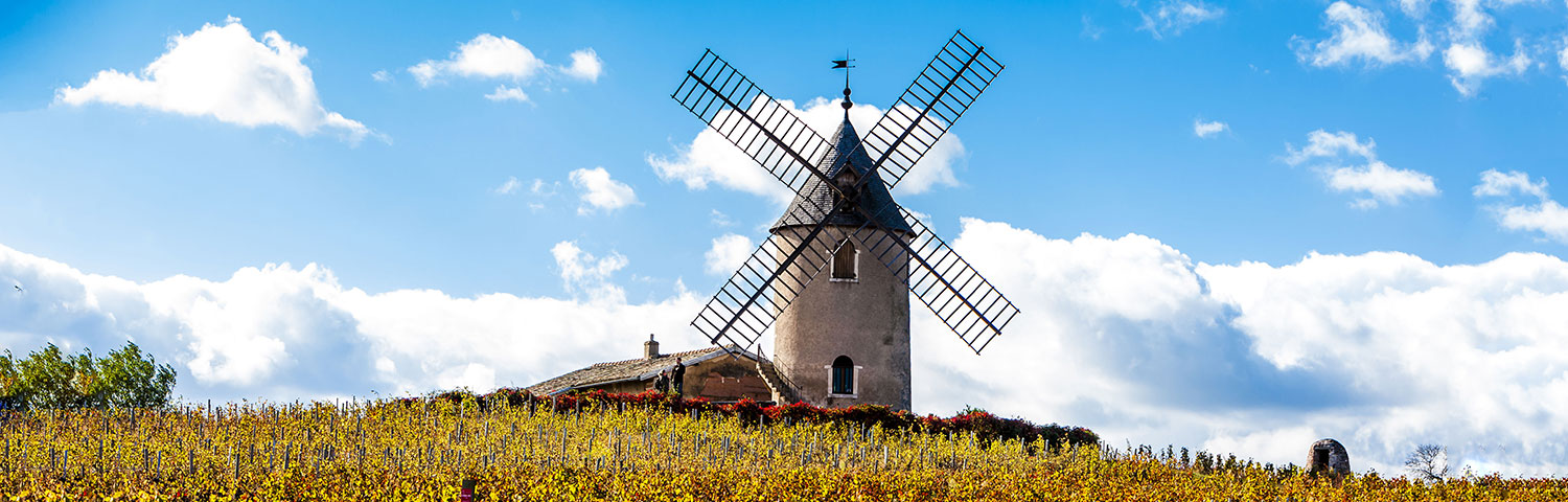 Beaujolais Côte de Brouilly