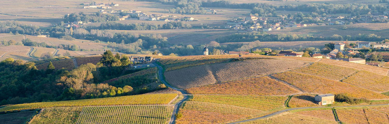 Beaujolais Chiroubles