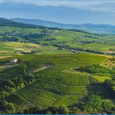 Beaujolais