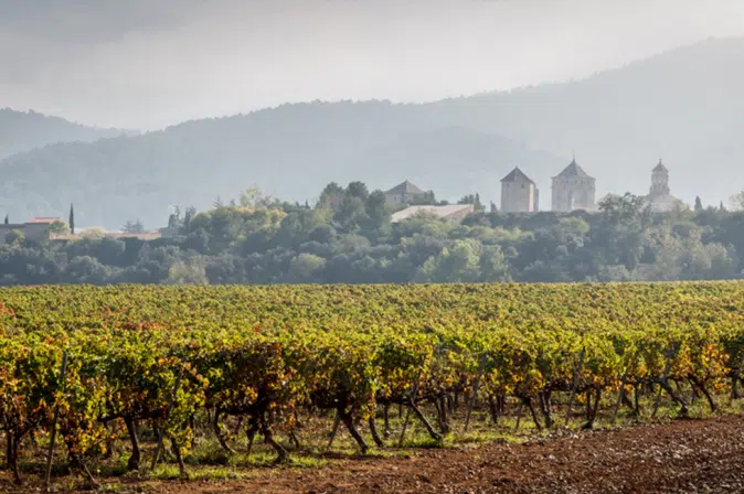 Weinregion Somontano