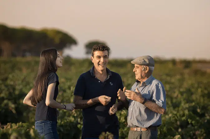 Weingut Bodegas Volver