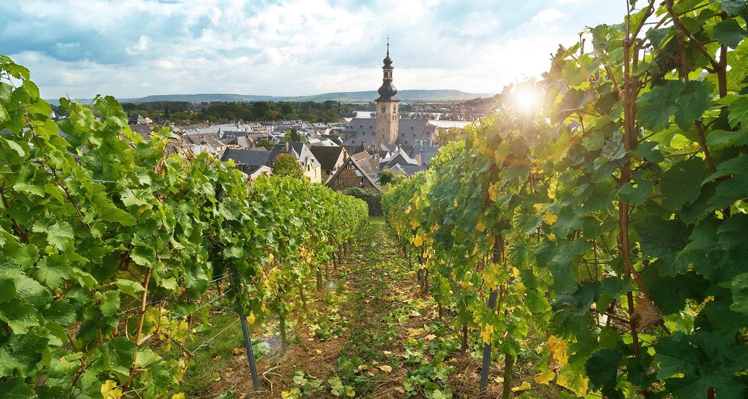 Rheingau Rüdesheim