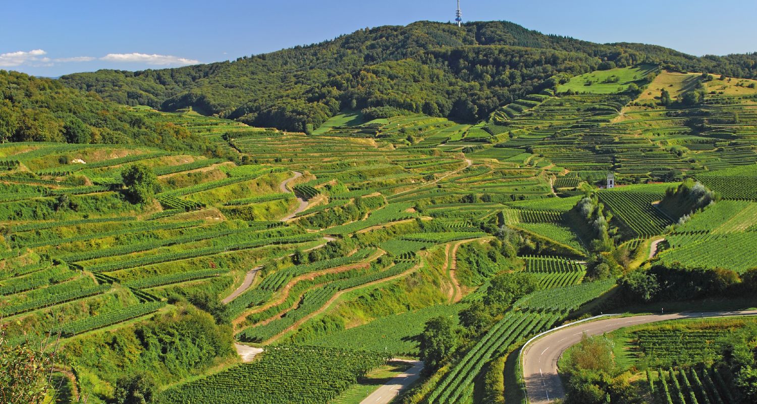 Kaiserstuhl Württemberg