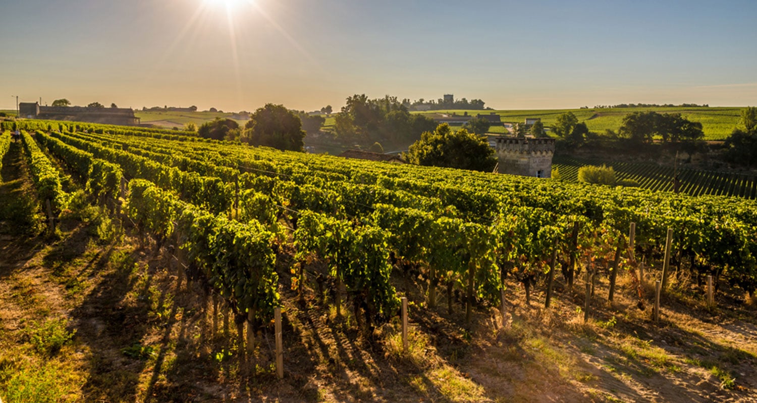 Rothschild im Bordeaux