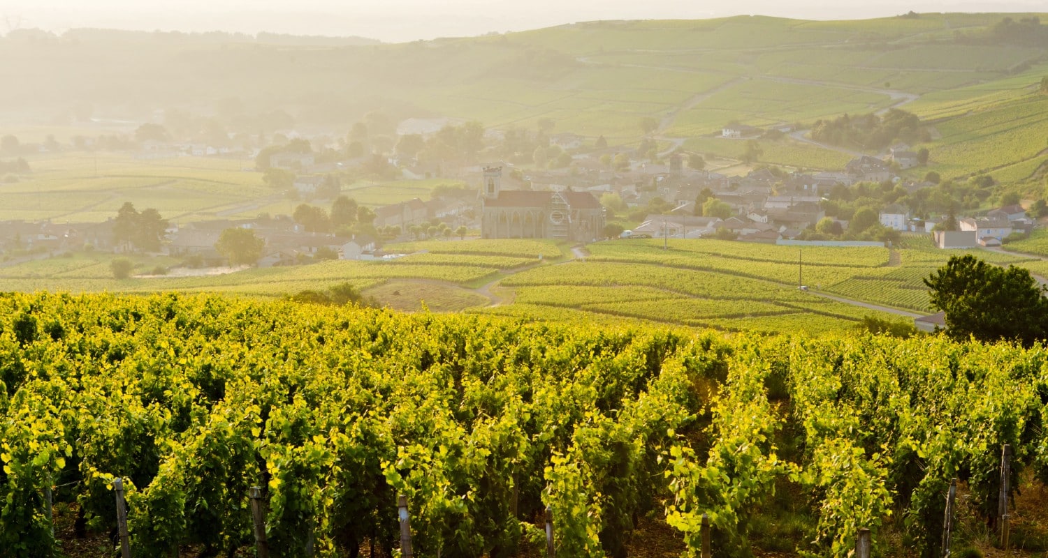Weinregion Burgund in Frankreich