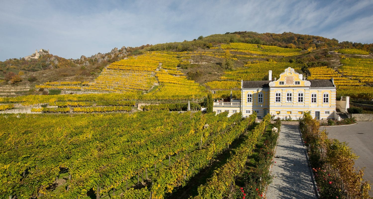 Kellerschlössel am Kellberg der Domäne Wachau