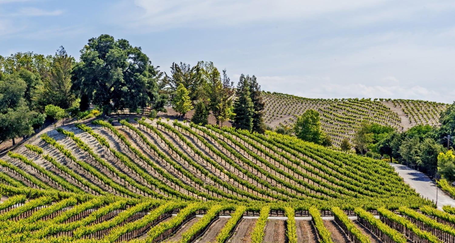 Neue Welt - Nordamerika