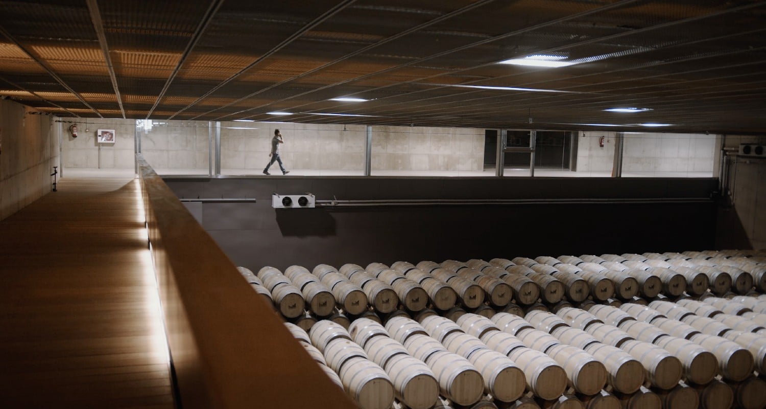 Weinkeller Bodegas Solagüen