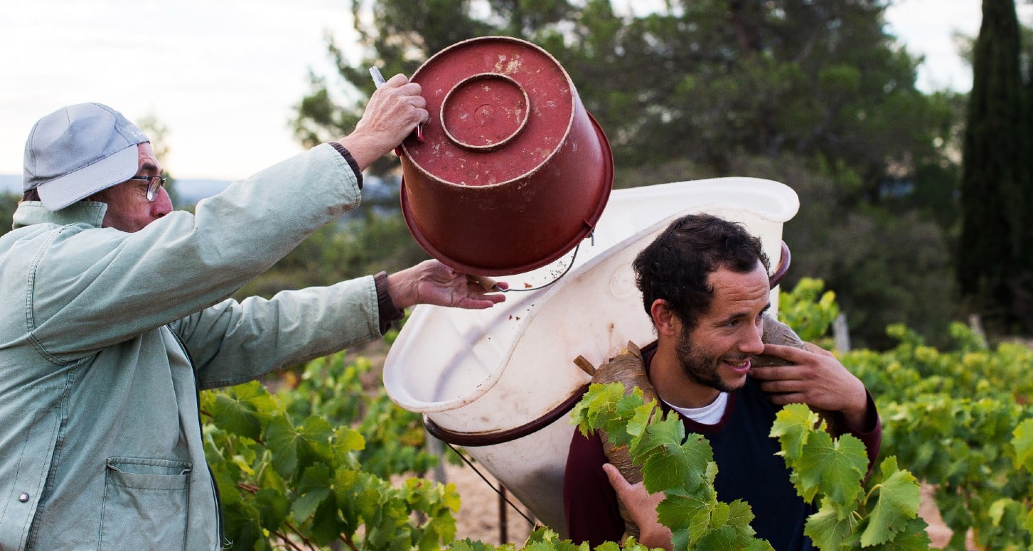 Domaine Moulin Saint Jean