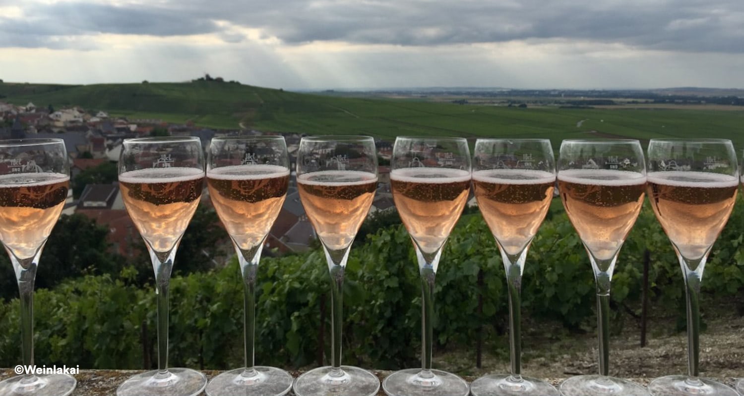 Rosé Champagner