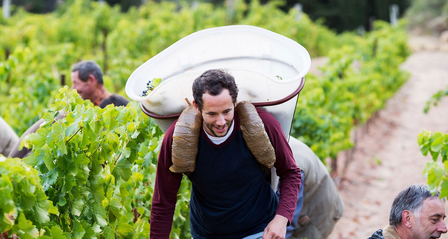 Domaine Moulin Saint-Jean