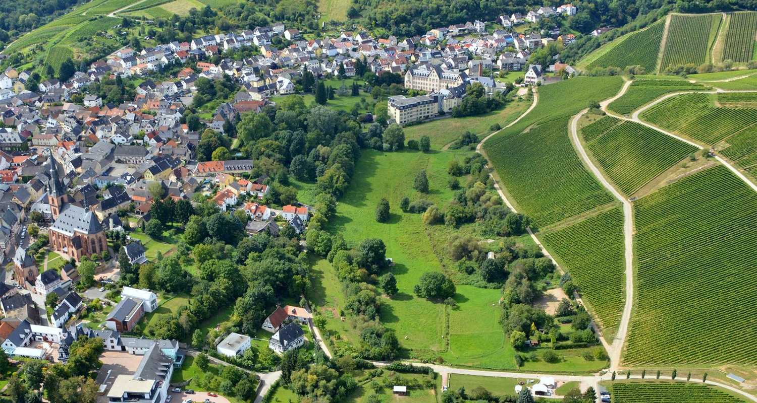 Kiedricher Gräferberg