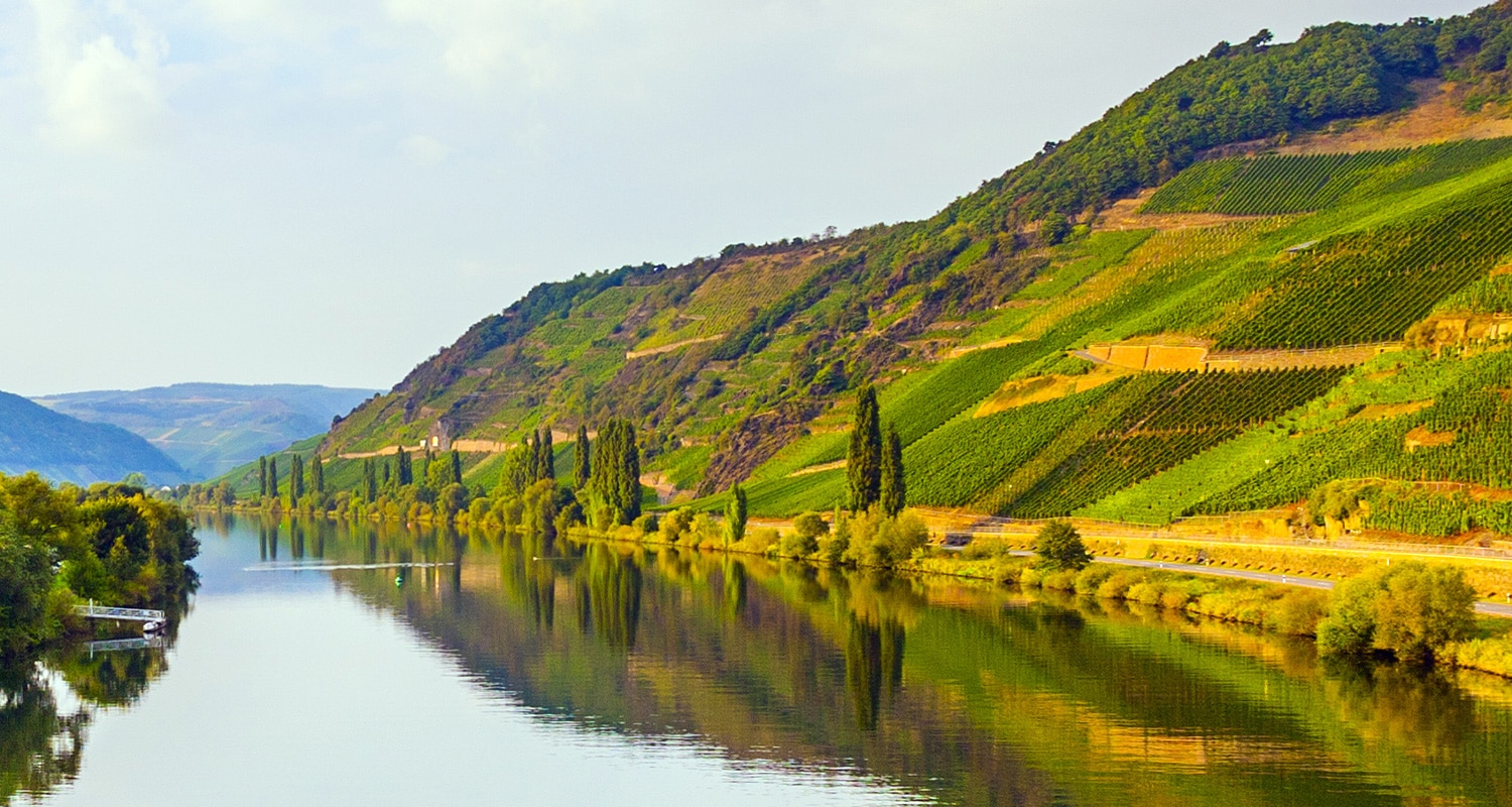 Steillage an der Mosel