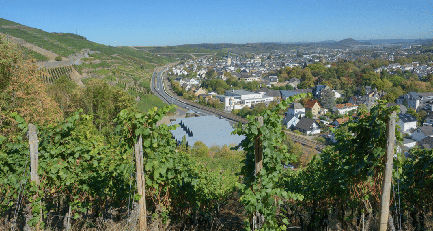 Das Ahrtal - das nördlichste Rotweinanbaugebiet Deutschlands