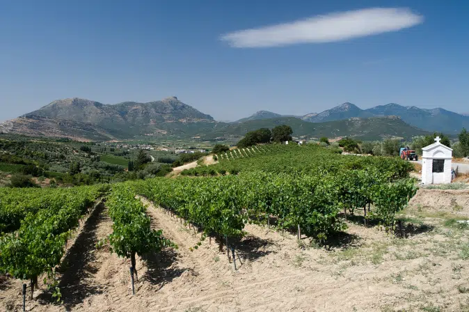 Weinland Griechenland