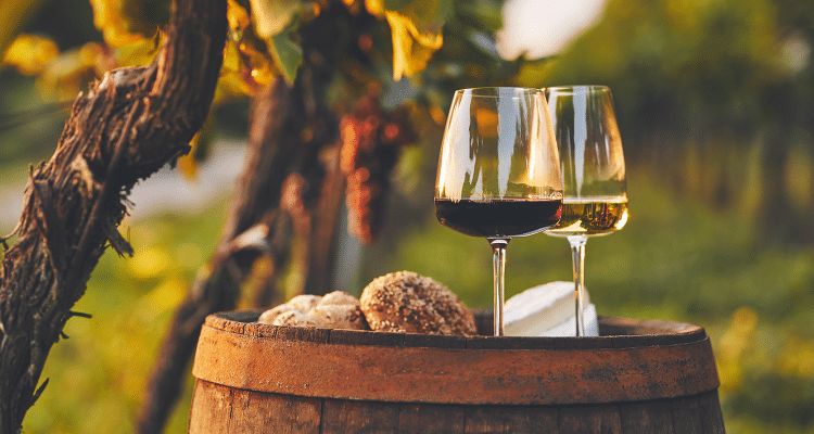 Welcher Wein ist für Anfänger zu empfehlen? » Weinfreunde Magazin