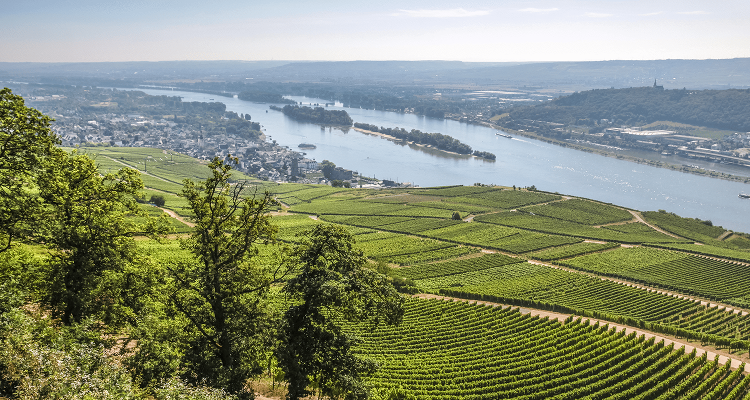 Weingebiet Rheingau