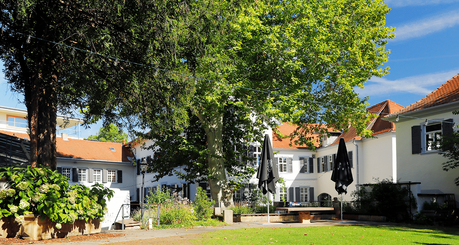 Weingut Reichsrat von Buhl