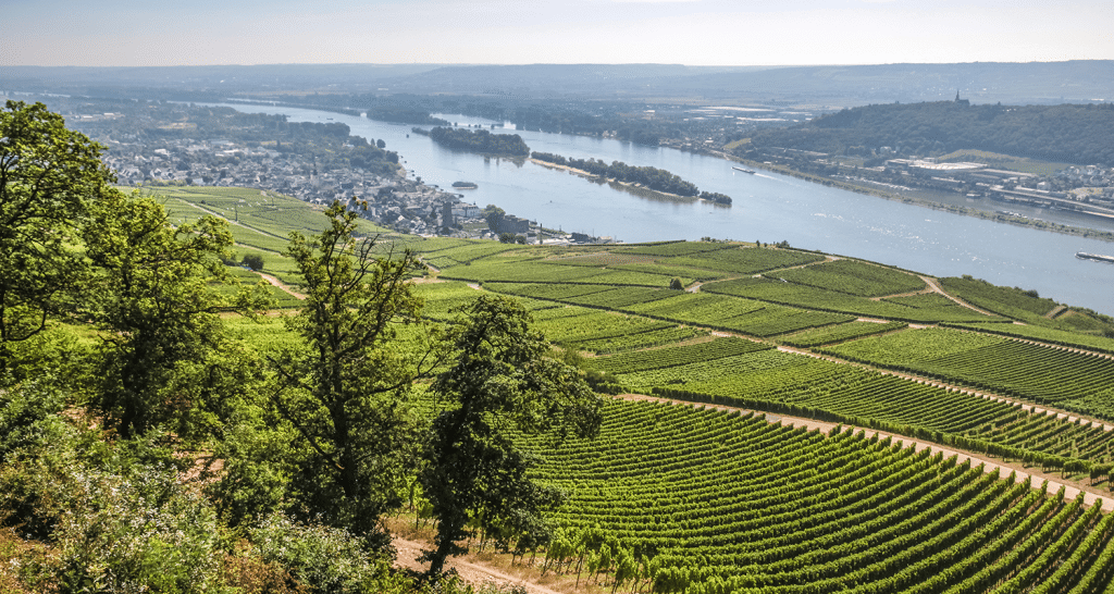 Ankermhle Im Rheingau