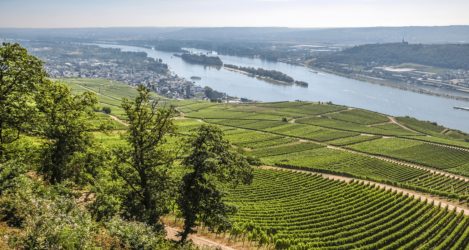 Rheingau