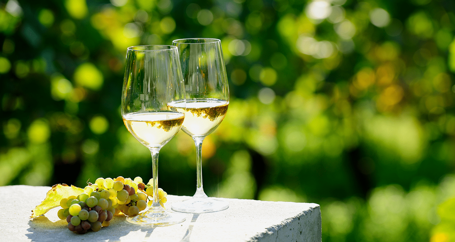 Weißwein in Gläsern