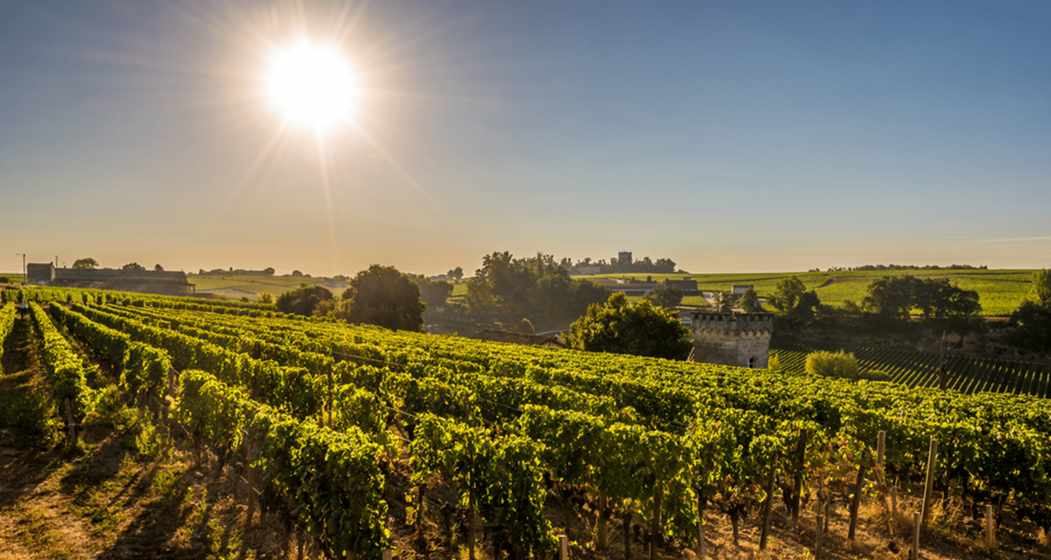 Bordeaux