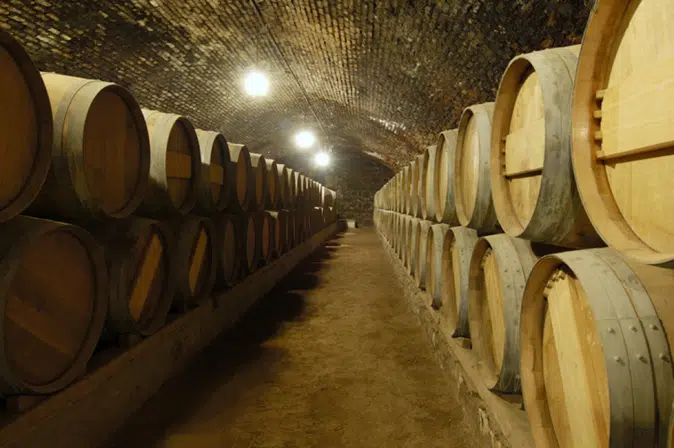 Eichenfässer befüllt mit Wein