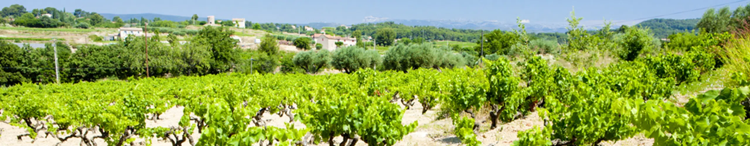 Klimawandel und Weinbau » Weinfreunde Magazin