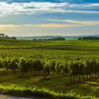 Bordeaux Landschaft