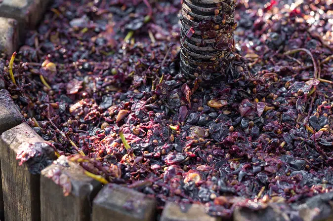 Weinproduktion mit Presse