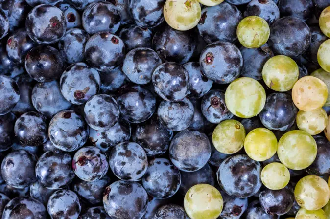 Rote und Weiße Trauben