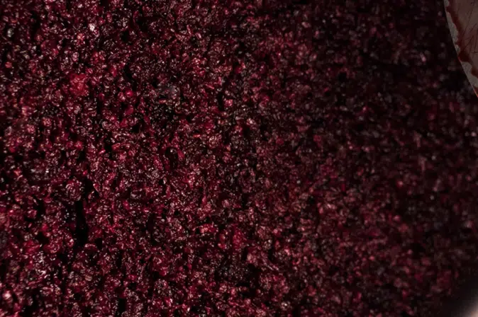 Rote Trauben bei der Weiterverarbeitung
