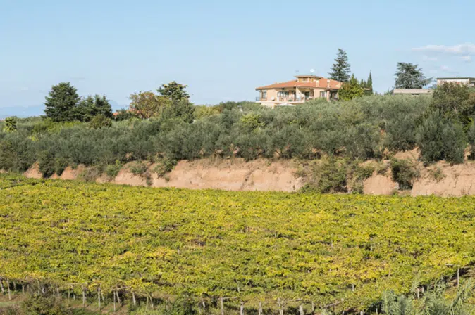 Eine Landschaft inklusive Haus