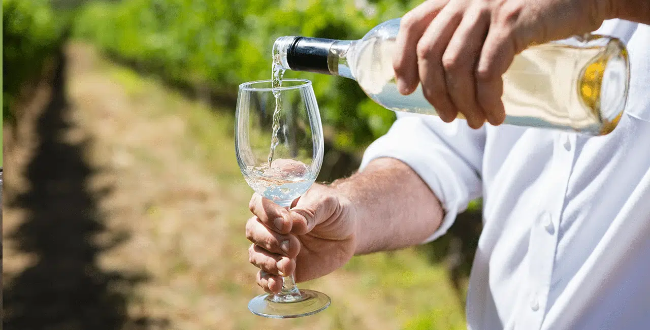 Wie viele Kalorien hat Wein? » Weinfreunde Magazin