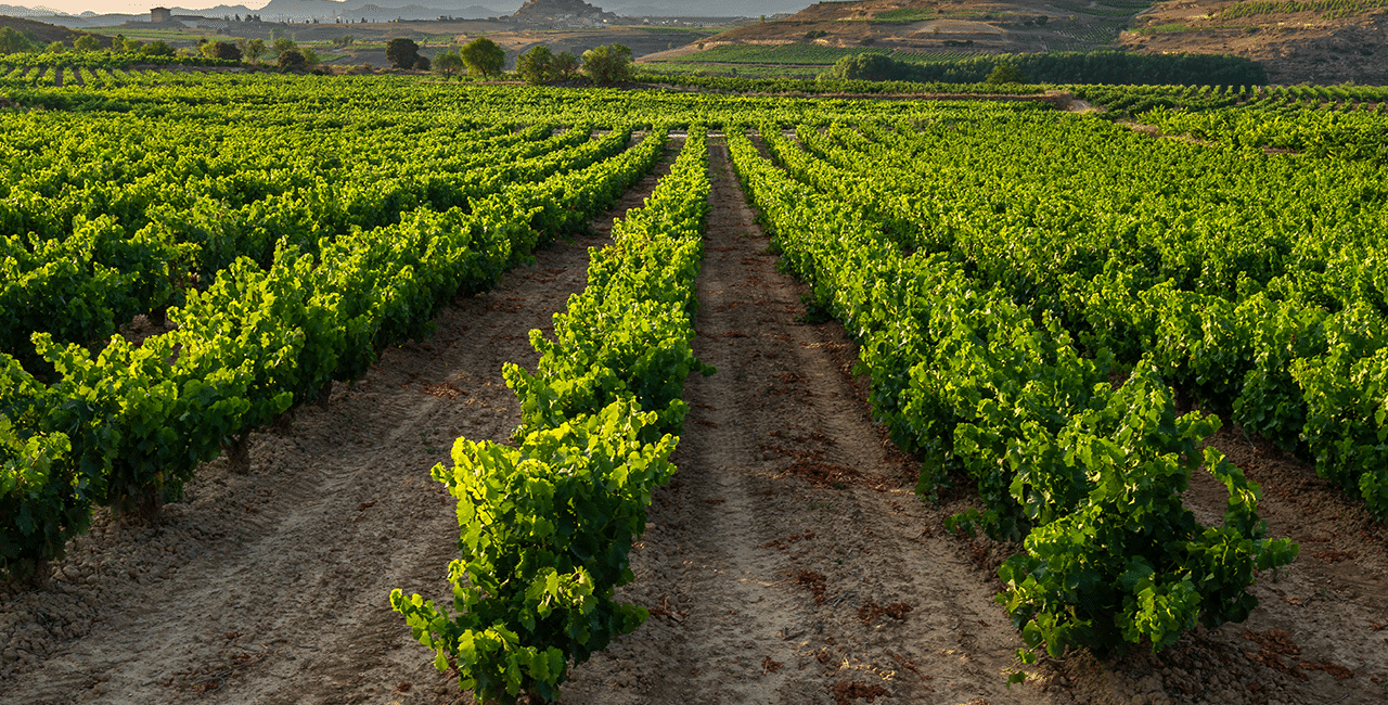 La Rioja