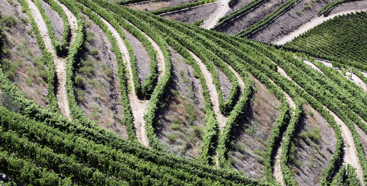 Douro-Tal