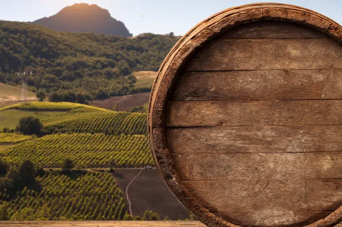 Fass mit Weinbergen