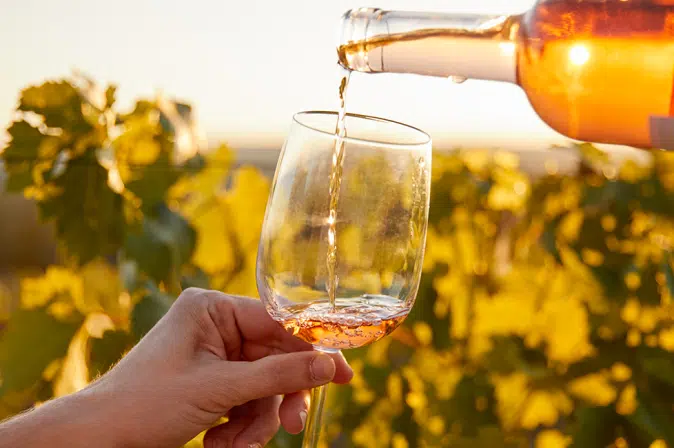 Rosé wird vor Reben in Glas gegossen