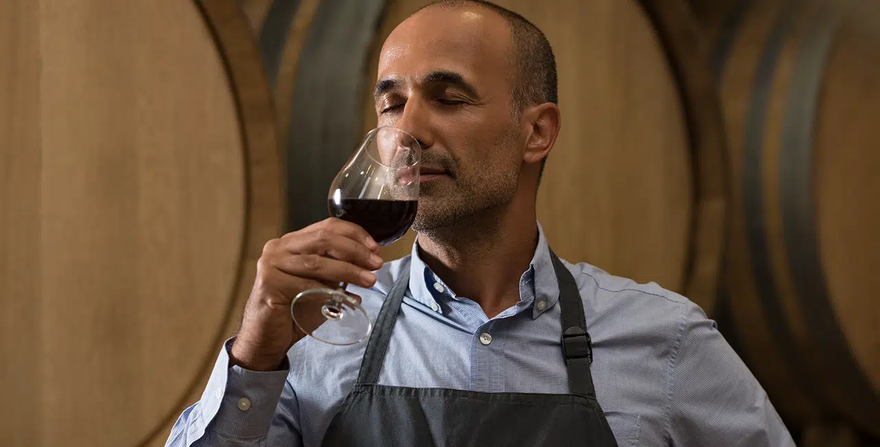 Nase an Grohirn: ber Aromen im Wein  Weinfreunde Magazin